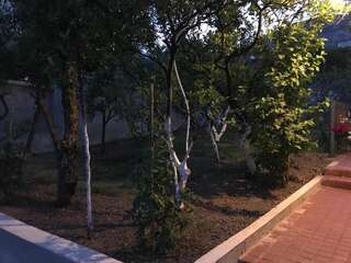 Дома для отпуска Guest House Luksic Бар Дом с 2 спальнями-21