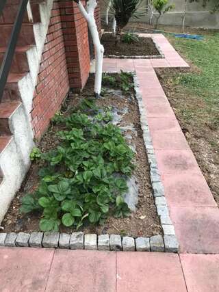 Дома для отпуска Guest House Luksic Бар Дом с 2 спальнями-43