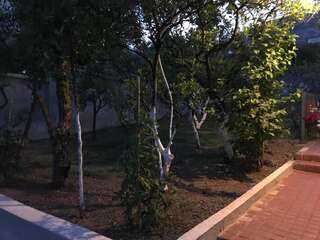 Дома для отпуска Guest House Luksic Бар Дом с 2 спальнями-53