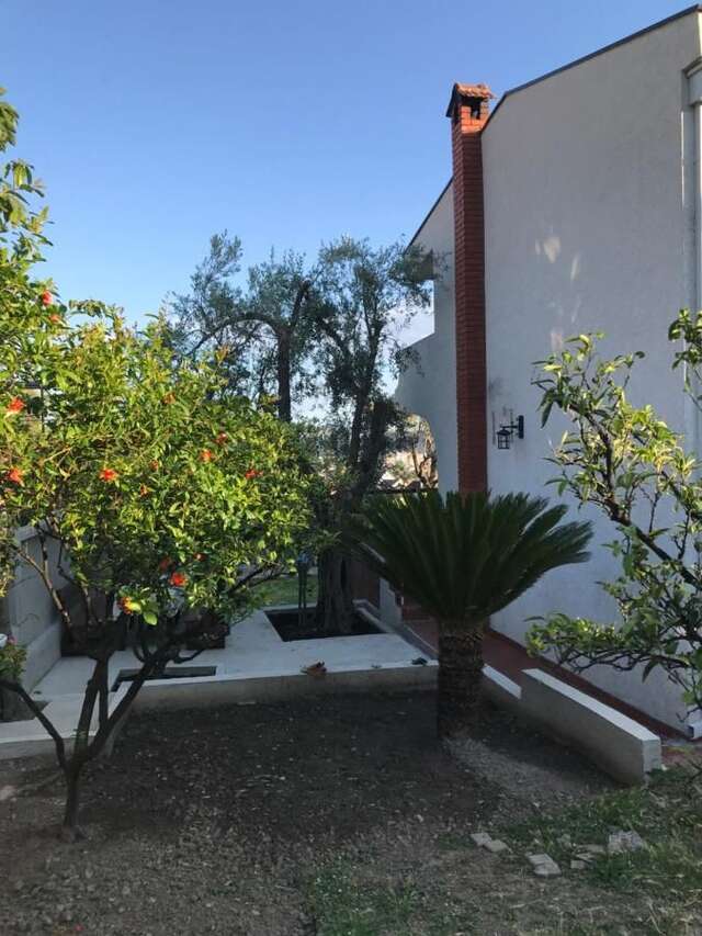 Дома для отпуска Guest House Luksic Бар-17