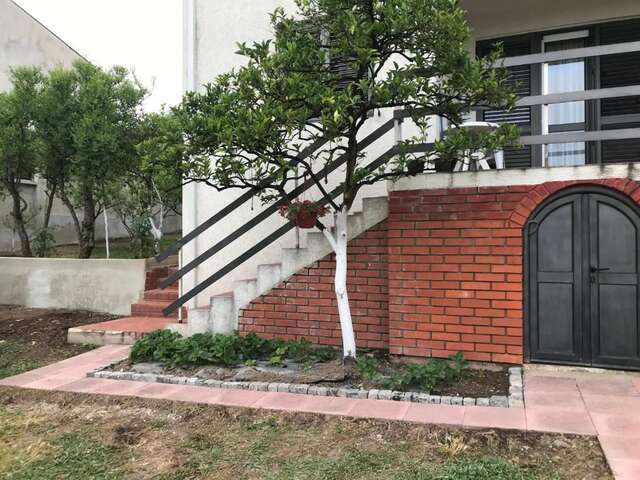 Дома для отпуска Guest House Luksic Бар-43